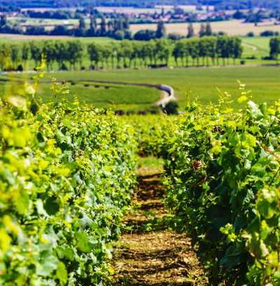 Quizz Bourgogne-Franche-Comté pour EHPAD et résidence senior - Bourgogne - Franche-Comté