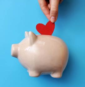 Quizz citoyenneté pour EHPAD et résidence séniors - Tous solidaires !