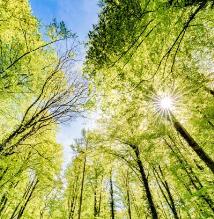 Animation  Science et nature pour EHPAD et résidence senior - Le réveil de la nature