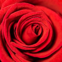 Quizz Couleur rouge pour EHPAD et résidence senior - Alerte rouge !